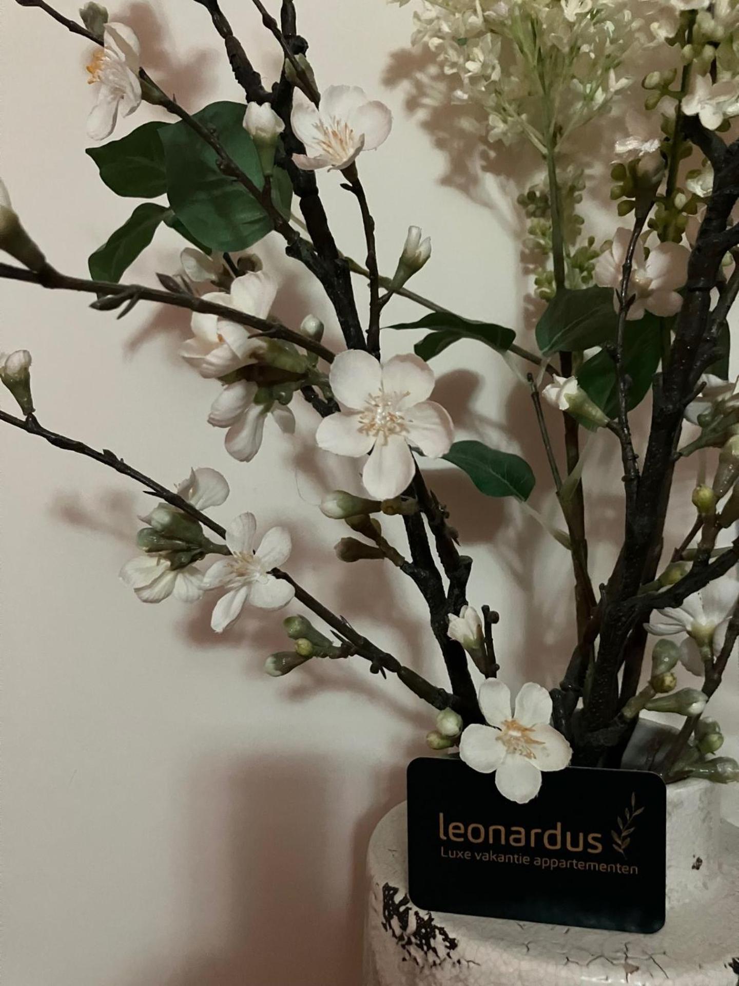 Luxe Appartementen Leonardus Valkenburg aan de Geul Zewnętrze zdjęcie